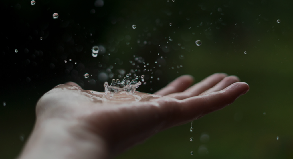 Home 2 Home svg+xml;charset=utf